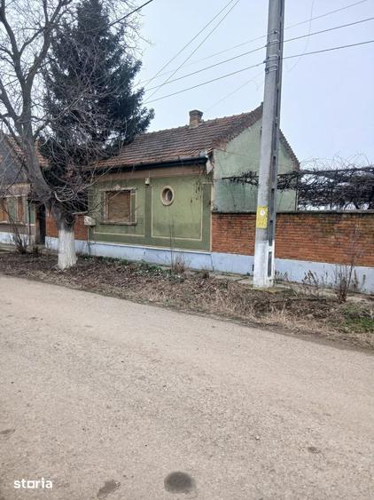 Teren de 3000 mp, în Borș