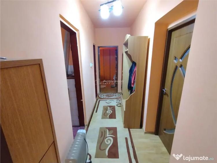 Apartament cu 3 camere decomandat în Bozovici