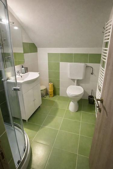 Casă cu Teren 750 Mp în Govăjdia