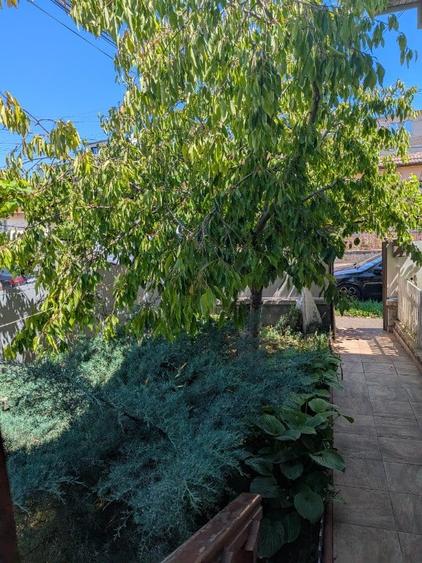 Casă cu 3 camere cu Teren 250 Mp în Central
