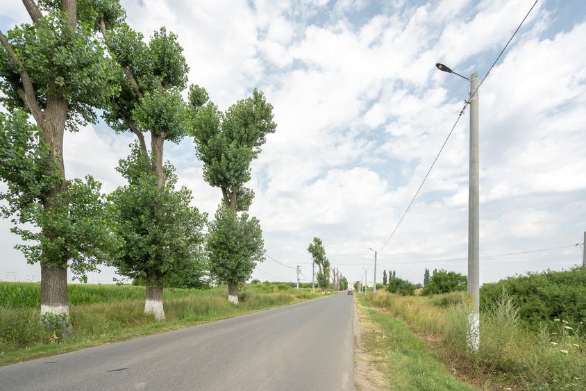 Teren Construcții intravilan de 30000 mp, în Cernica