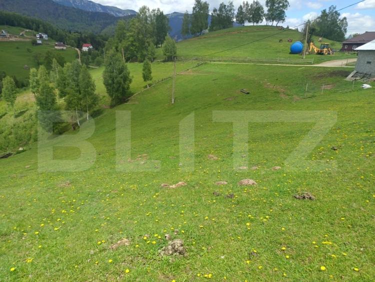 Teren Construcții intravilan de 4649 mp, în Peștera