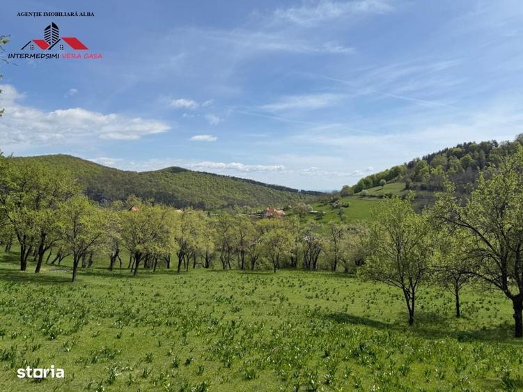 Spațiu comercial, în Valea Vințului