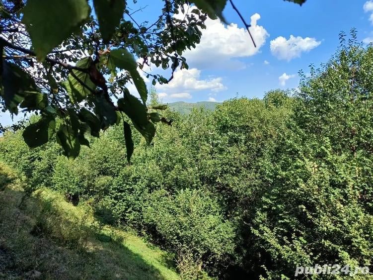 Teren de 3000 mp, în Măguri