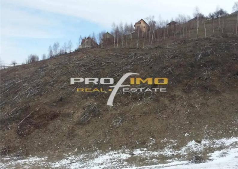 Moeciu, Drumul Carului, teren 3750 mp, 75000 euro - 7