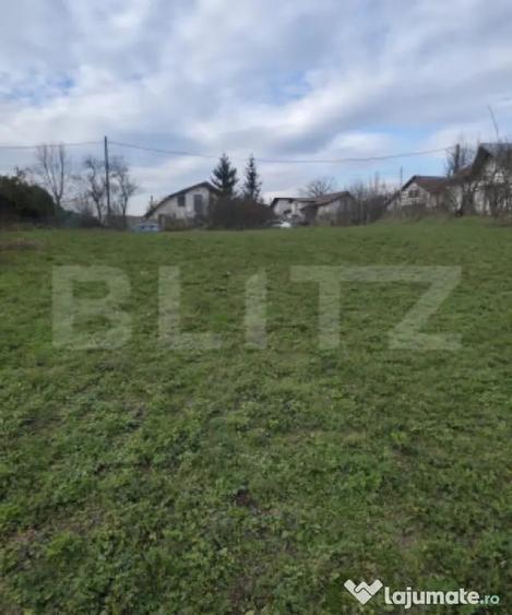 Teren de 3000 mp, în Plopu
