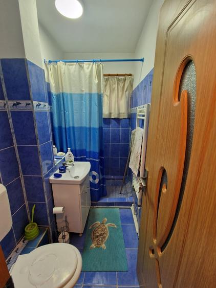 Apartament cu 2 camere semidecomandat, mobilat în Alexandru cel Bun