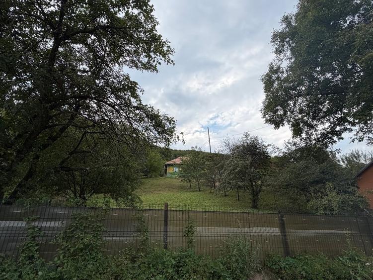 Casă individuală cu 4 camere cu Teren 2600 Mp în Gura Teghii