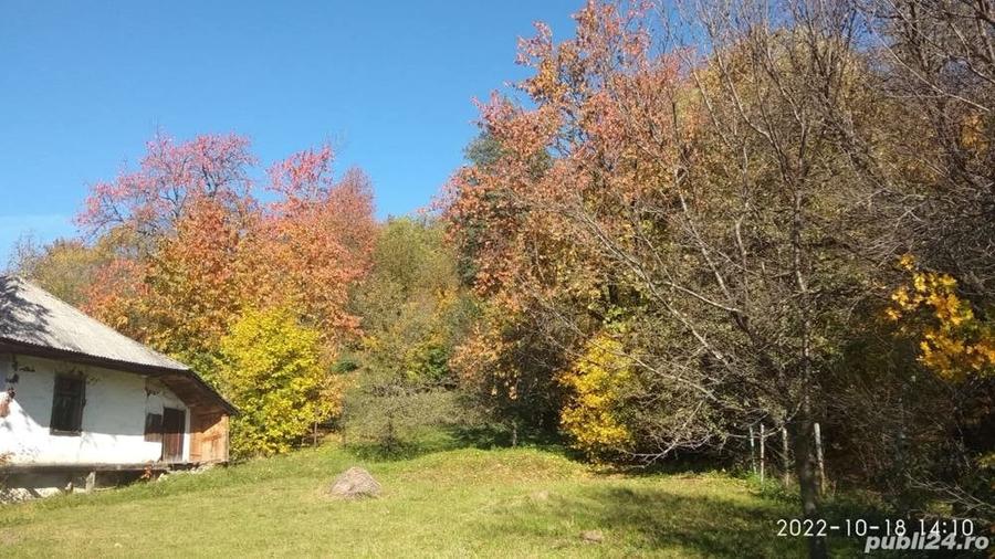 Teren de 9081 mp, în Crăcăoani