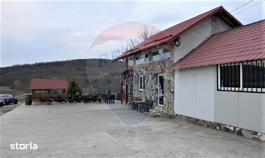Spațiu comercial, de 150 mp, în Traian