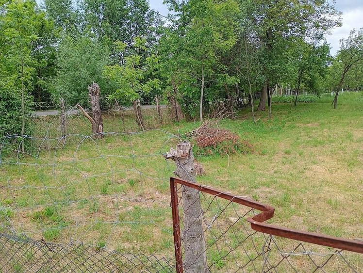 Teren de 756 mp, în Borozel