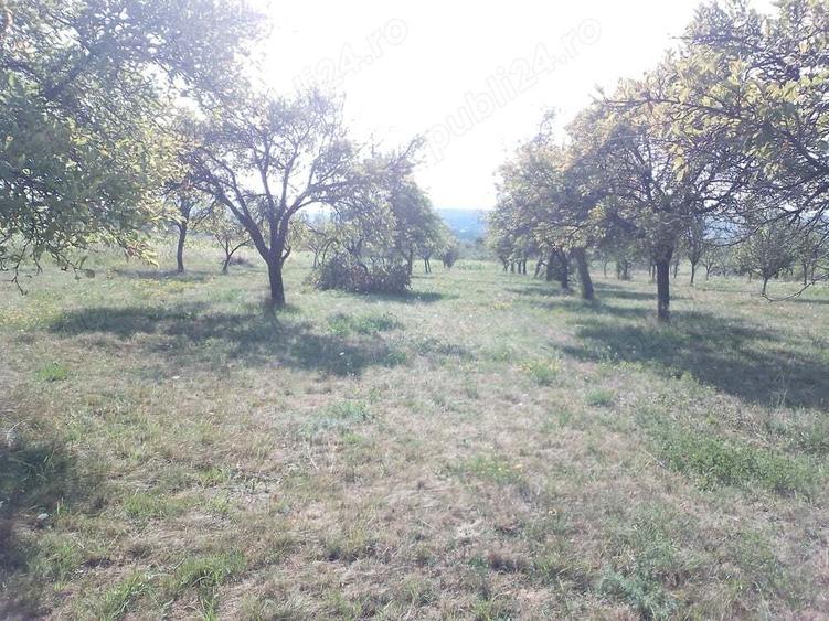 Teren de 2000 mp, în Coaș