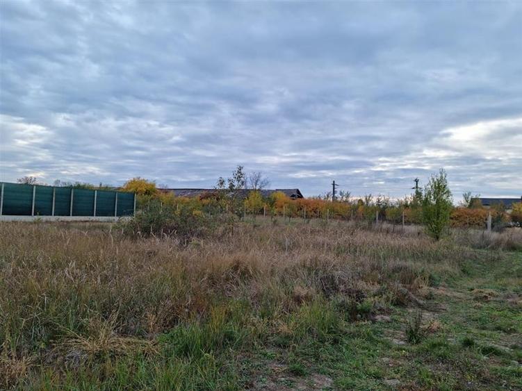 Teren Construcții intravilan de 705 mp, în Oșorhei