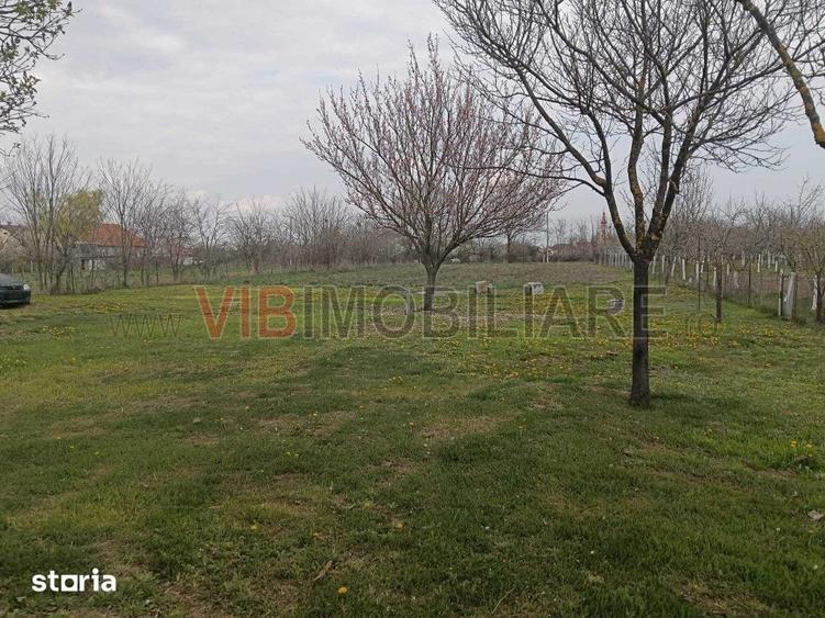 Teren de 2650 mp, în Pădureni