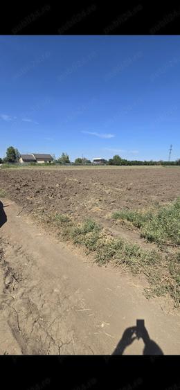 Teren de 5000 mp, în Lacu Sărat