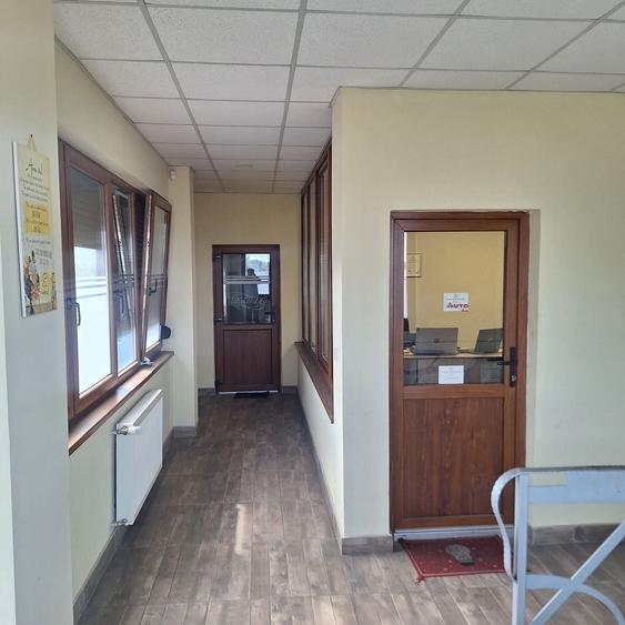 Spațiu comercial, de 200 mp, în Careiului