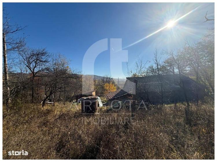 Teren de 3250 mp, în Cozieni