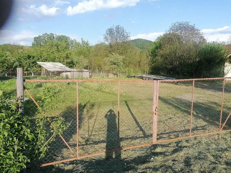 Teren de 800 mp, în Bujoreni