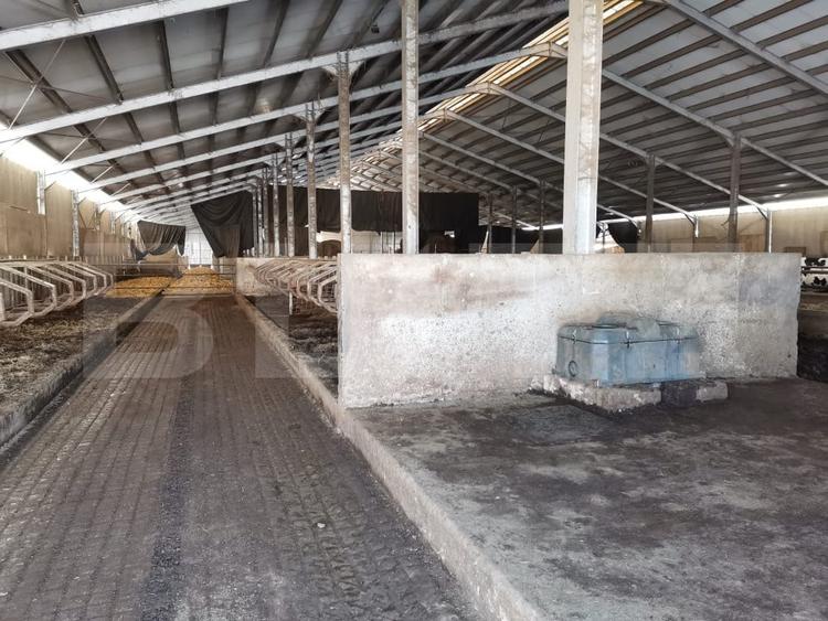 Spațiu industrial, de 3,000 mp, în Vest