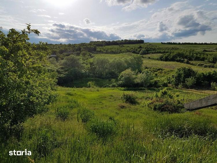 Vand teren intravilan Chicerea - 1
