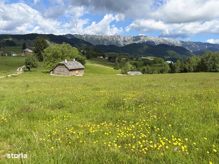 Teren 1425 mp, sat Sinea, zona Bran Moieciu - 5