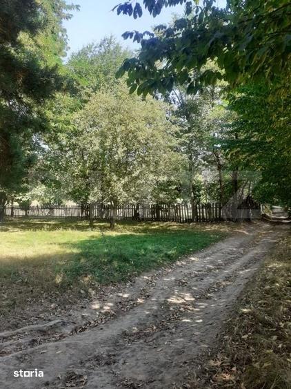 Teren 26 ari, extravilan, langa padure, zona Partestii de Jos - 3