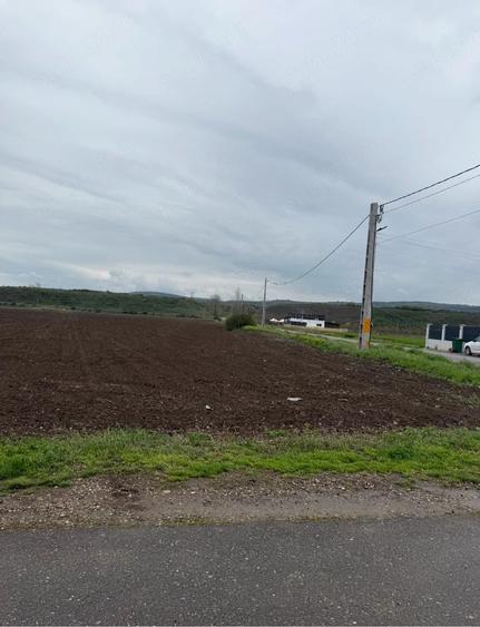 Teren de 4350 mp, în Vernești