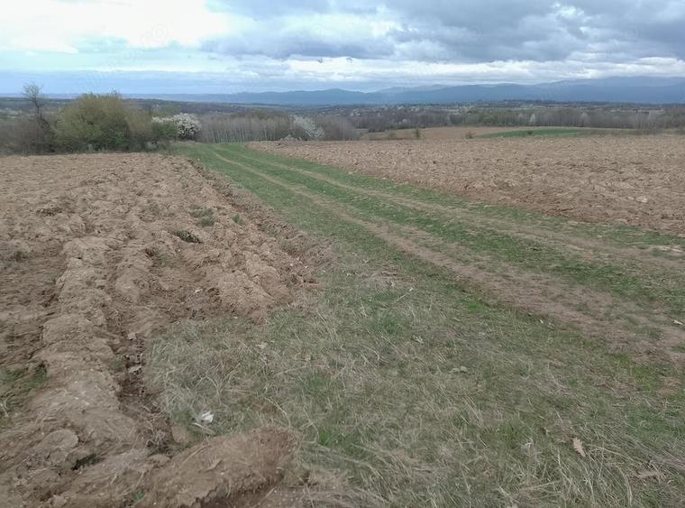 Pamant extravilan in Zgribesti - 1