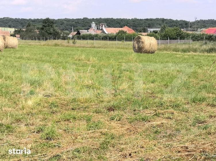 Casă cu 4 camere cu Teren 15277 Mp în Central