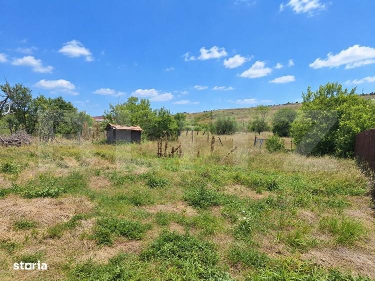 Casă cu 4 camere cu Teren 5300 Mp în Sava