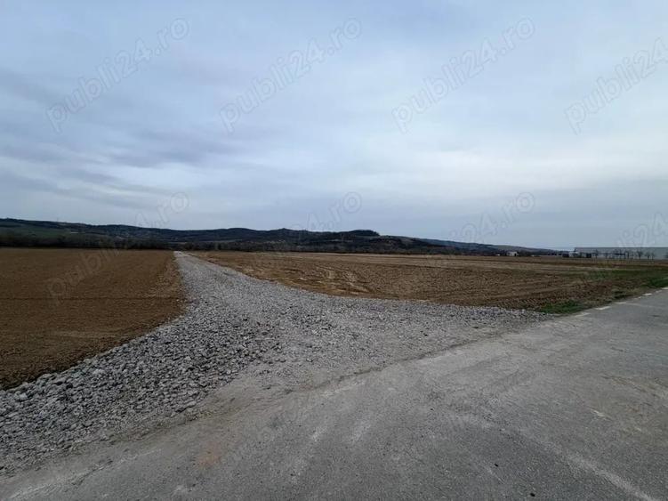 Teren de 1350 mp, în Tâmpa