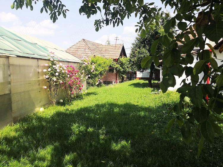 Teren de 12000 mp, în Ierbuș