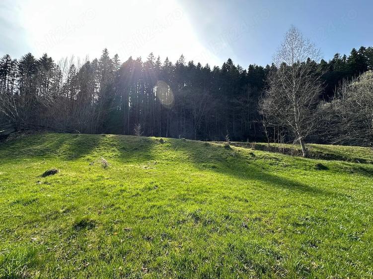 Teren de 6888 mp, în Putna