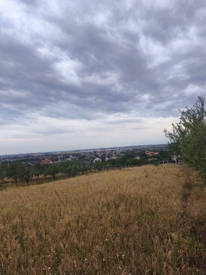 Teren Construcții intravilan de 10000 mp, în Păulești