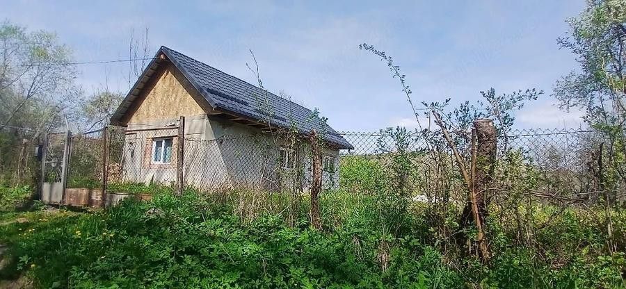 Casă cu Teren 8000 Mp în Mădăraș