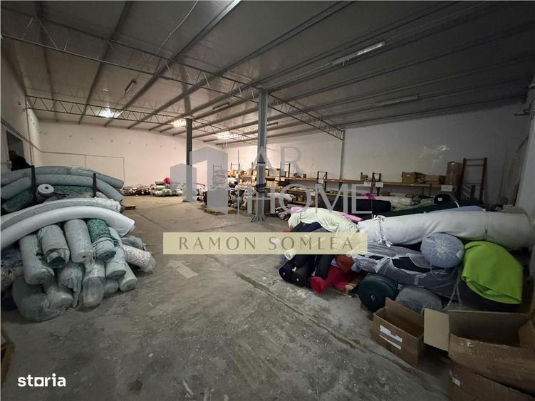 Vanzare Hala si teren industrial in Paulestii noi , Prahova - 20