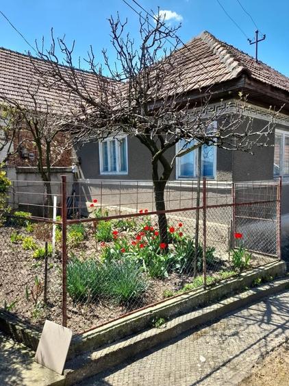 Casă cu 3 camere în Vințu de Jos