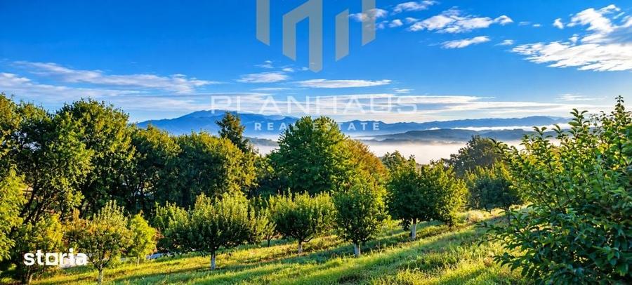 Casă cu 3 camere cu Teren 6790 Mp în Copalnic