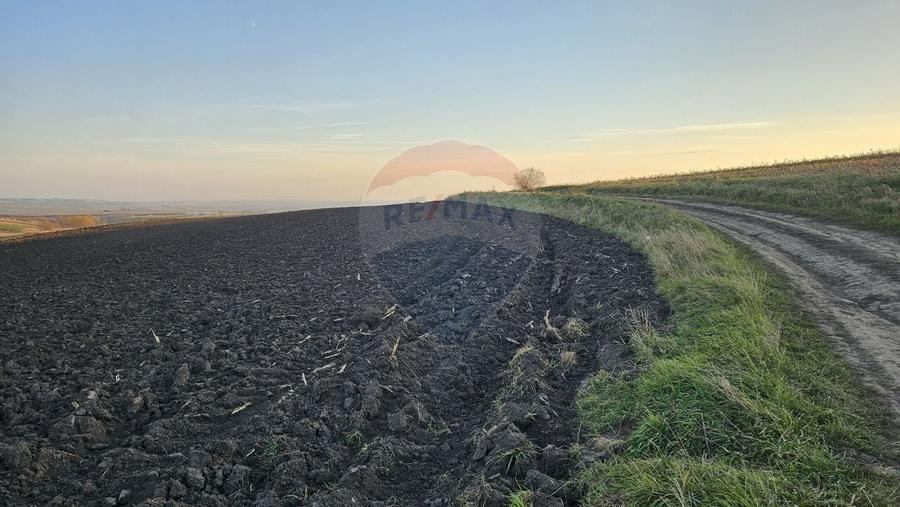 Teren agricol extravilan de 30077 mp, în Stroiești