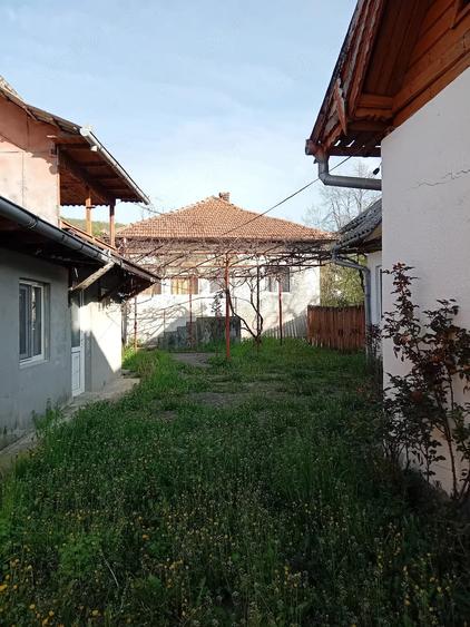 Casă cu 3 camere cu Teren 3160 Mp în Davidești