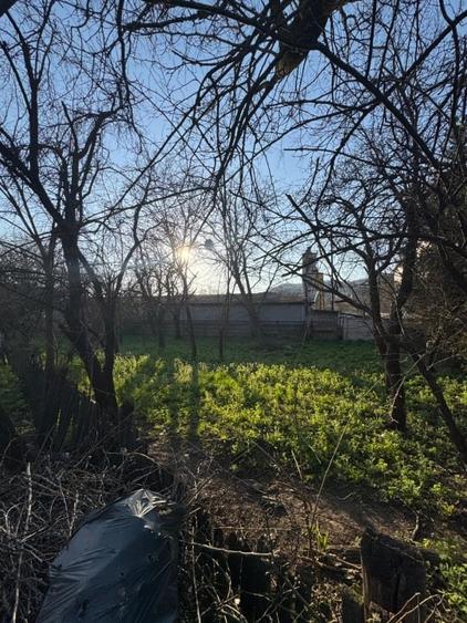 Teren Construcții intravilan de 700 mp, în Griviței