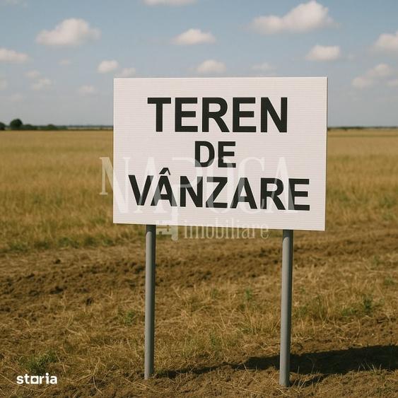 Teren de 7500 mp, în Ciurila