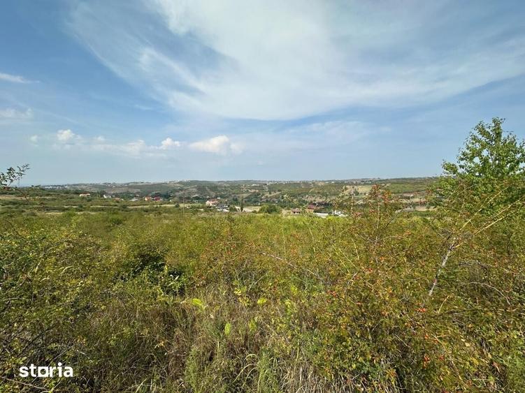 Teren de 1665 mp, în Podgoria