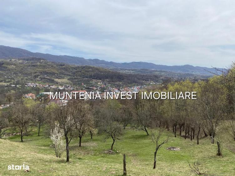 Spațiu comercial, în Albota