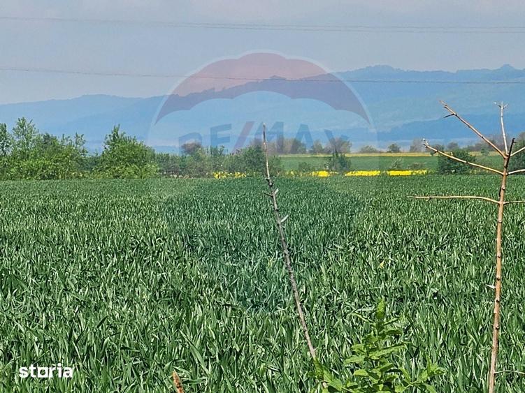 Teren de 40000 mp, în Central