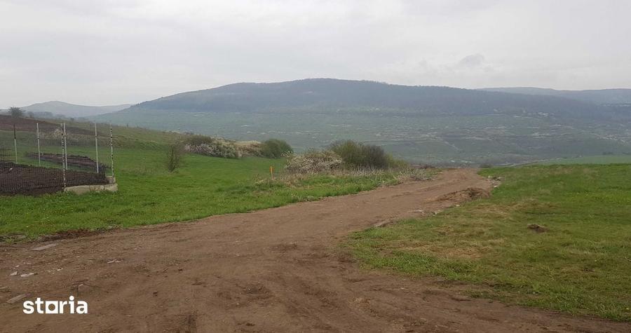 Teren intravilan 1000 mp, cu PUZ, zona platoului Radaia - 2