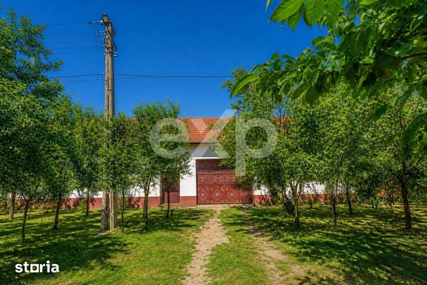 Casă cu 4 camere cu Teren 2993 Mp în Racovița