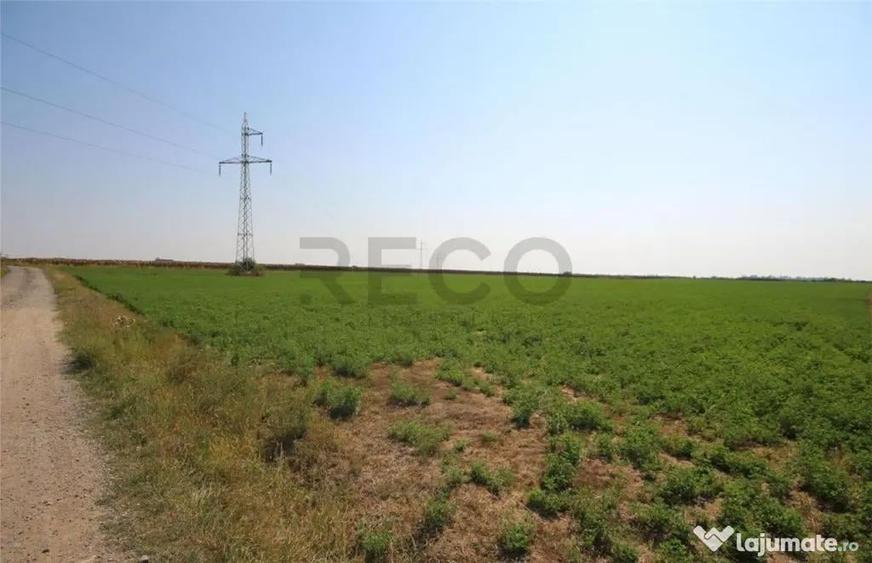 RECO, teren intravilan, Zona Sinteu, Bihor - 2