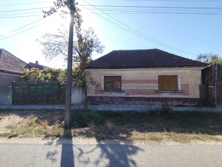 Casă cu Teren 2600 Mp în Tămășeu