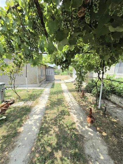 Casa 2 Camere cu Teren 1000 mp, Langa Pensiunea Laguna Vadu - 17